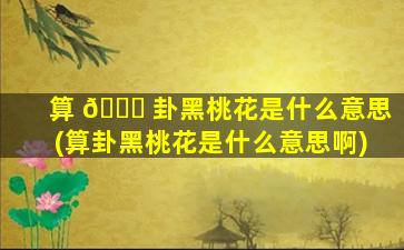 算 💐 卦黑桃花是什么意思(算卦黑桃花是什么意思啊)